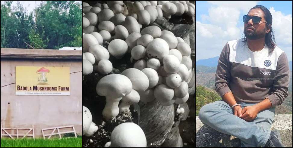 Mushroom Cultivation: Shubham From Kashipur is Cultivating Mushrooms