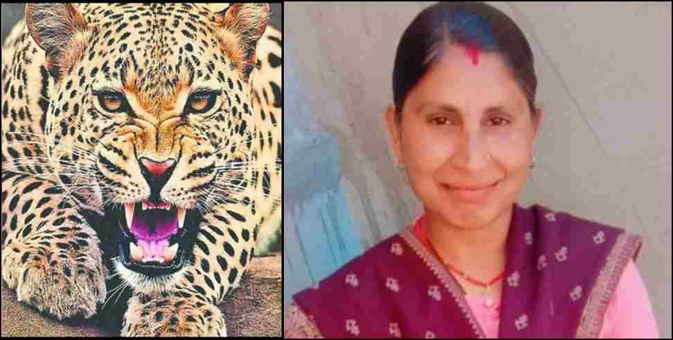 Chinyalisaur sunita devi leopard: Uttarkashi Chinyalisaur Leopard Attack Sunita Devi