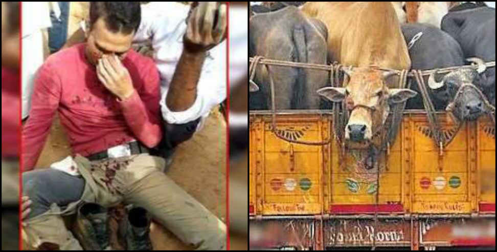 cow smuggler: Policeman crushed by a tractor while chasing cow smuggler