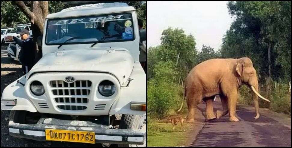 Elephant attack max vehicle Rishikesh: elephant attacked Max vehicle injured driver lost his life