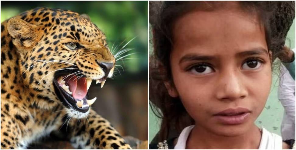 Dehradun 8 year old girl saved her brothers life from leopard
