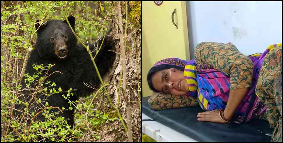 Pauri Garhwal: Pauri Garhwal bears attack on women