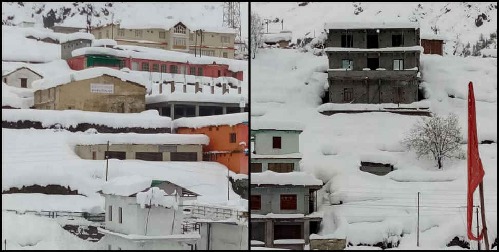 उत्तराखंड न्यूज: Snowfall in badrinath pics