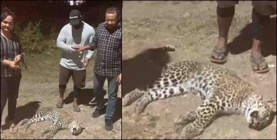 dehradun ramandeep kaur leopard: Ramandeep Kaur saved leopard in Dehradun Premnagar