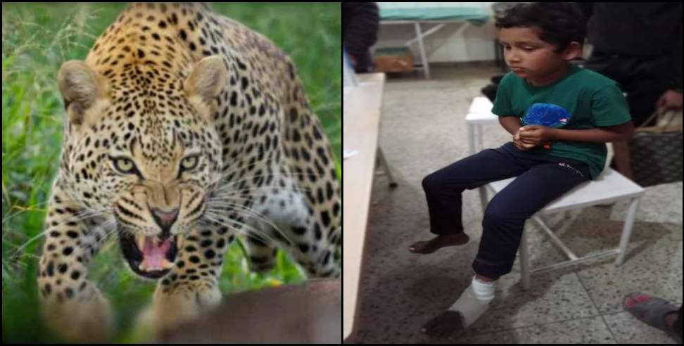 Bageshwar Leopard school boys: Leopard attacks two brothers in bageshwar