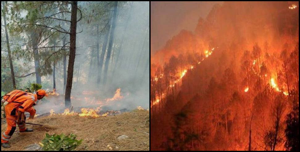 uttarakhand forest fire first fir: First FIR registered in Uttarakhand forest fire case