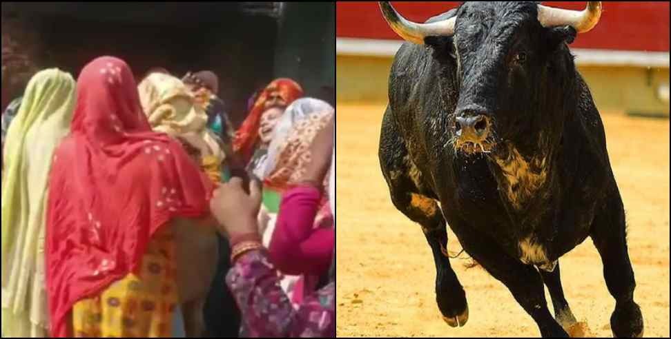 haldwani stray bull: Stray bull attack in Haldwani