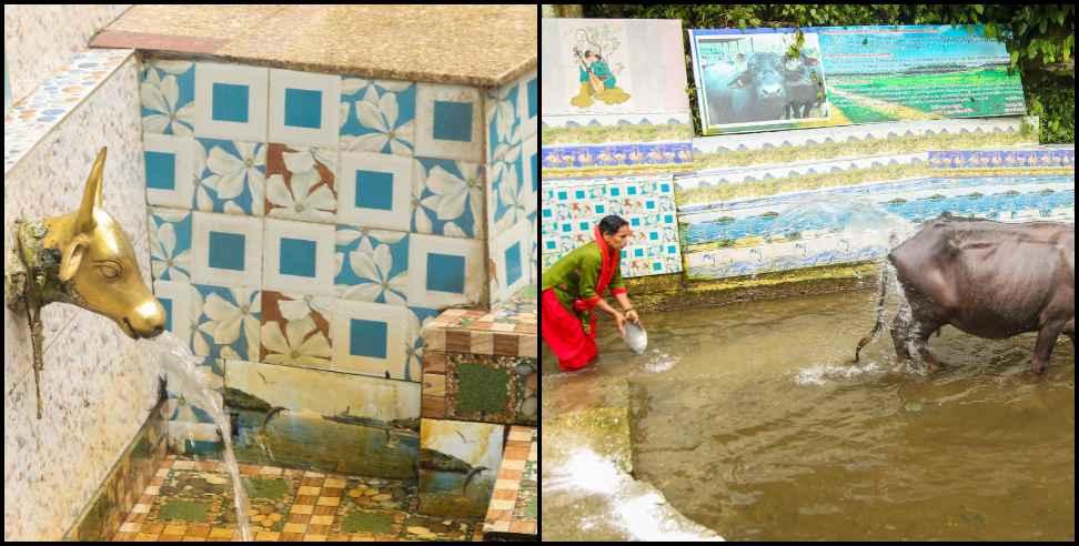 Tehri zila panchayat adhyaksh sona sajwan: Zila panchayat adhyaksh sona sajwan water conservation
