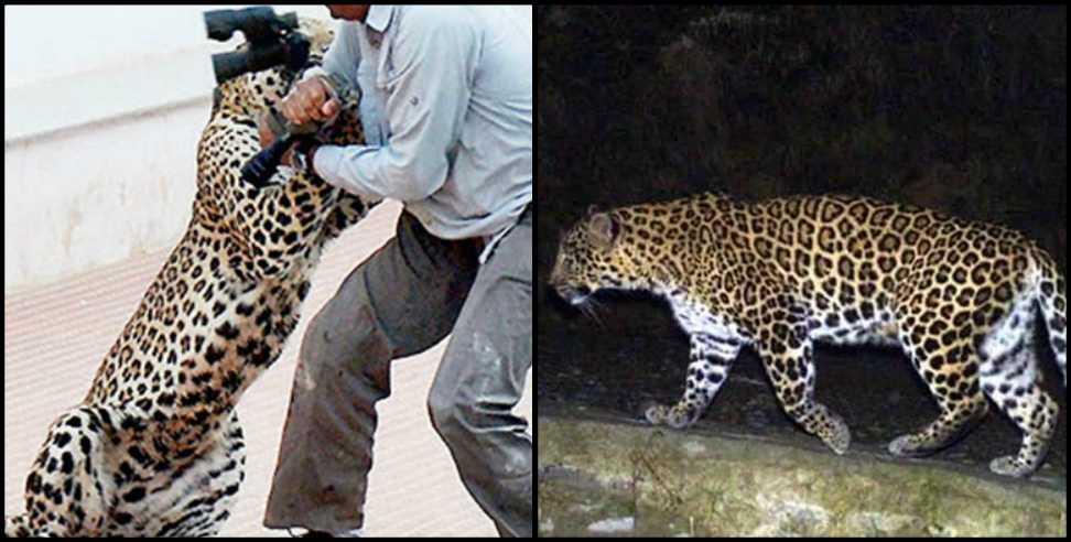 Pauri Garhwal News: Leopard attack on two youths in Pauri Garhwal