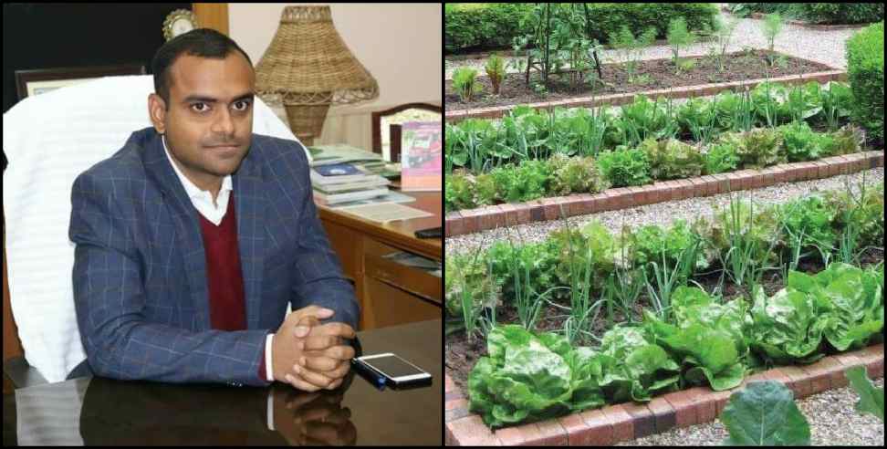 Uttarkashi News: Kitchen gardens to be built in government schools in Uttarkashi