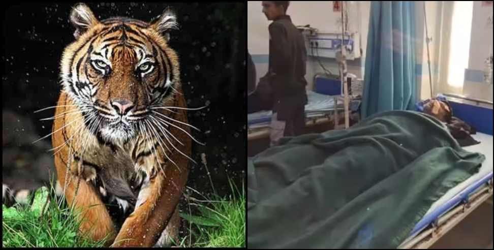 Ramnagar Tiger: Tiger attack on bike riders in Ramnagar