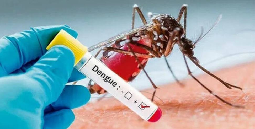 Uttarakhand Dengue: Dengue awareness campaign in Uttarakhand