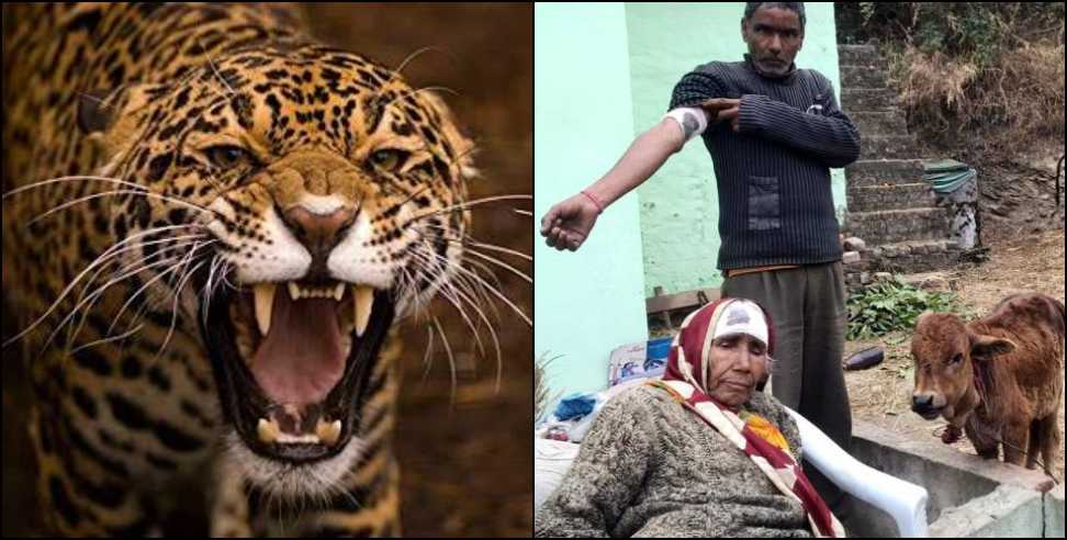 Almora news: Leopard attack in almora