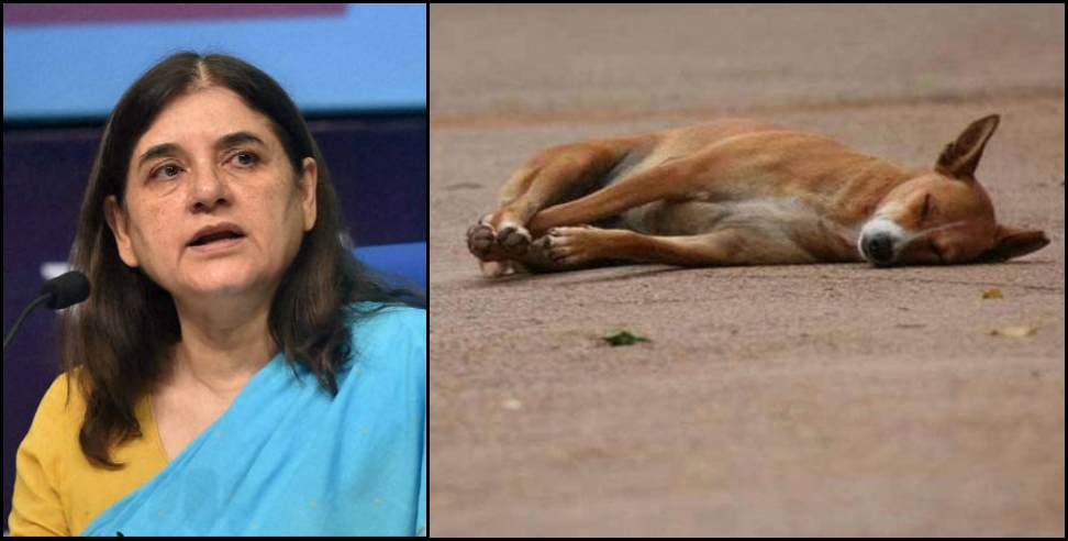 uttarakhand dog murder menka gandhi: Dog killed in Uttarakhand Kashipur Maneka Gandhi Police Case