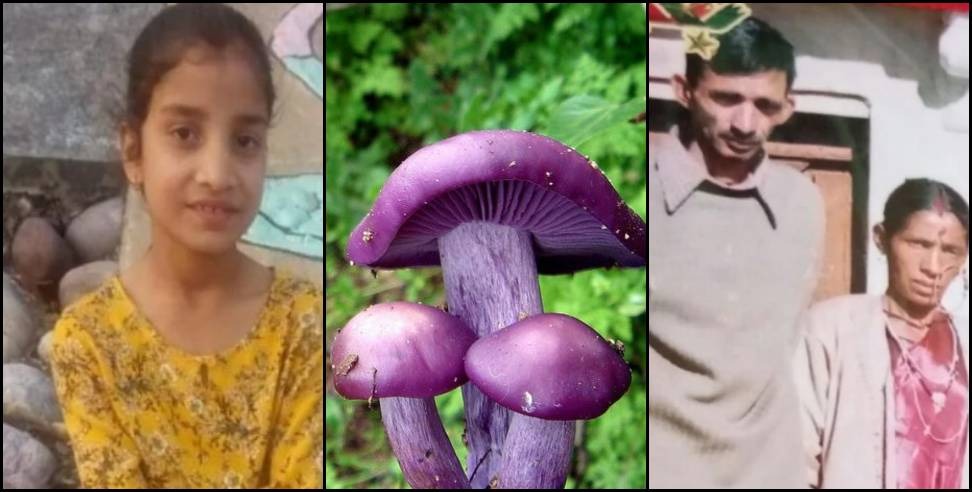 Tehri Garhwal Sukri Village: die due to eating wild mushroom in Tehri Garhwal