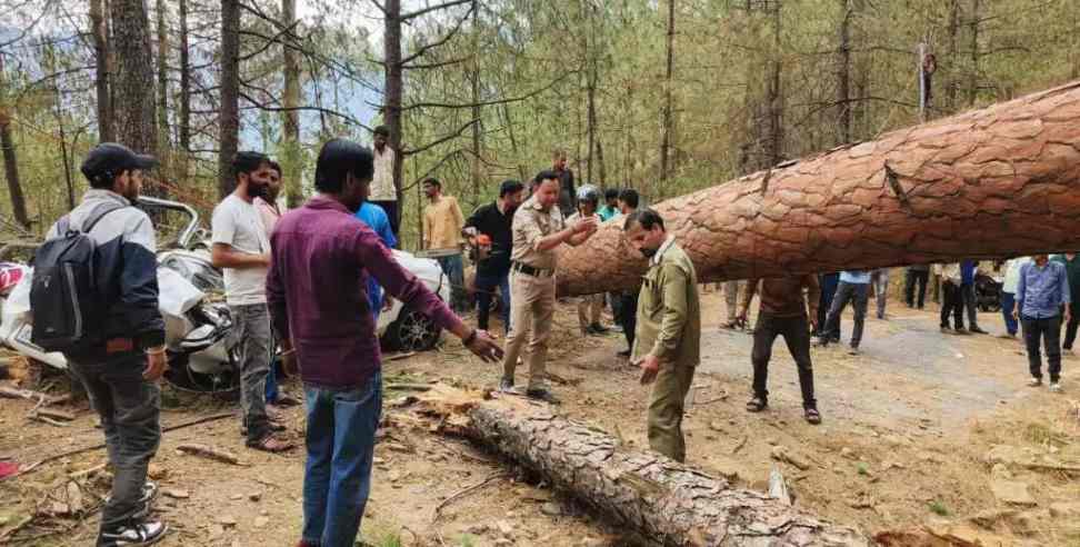 Road Accident in Uttarkashi: Tree Falls On Moving Car in Purola