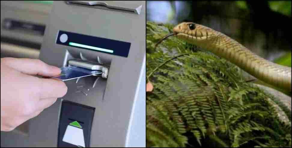Ramnagar atm snake : Snakes came out of ATM in Ramnagar Uttarakhand