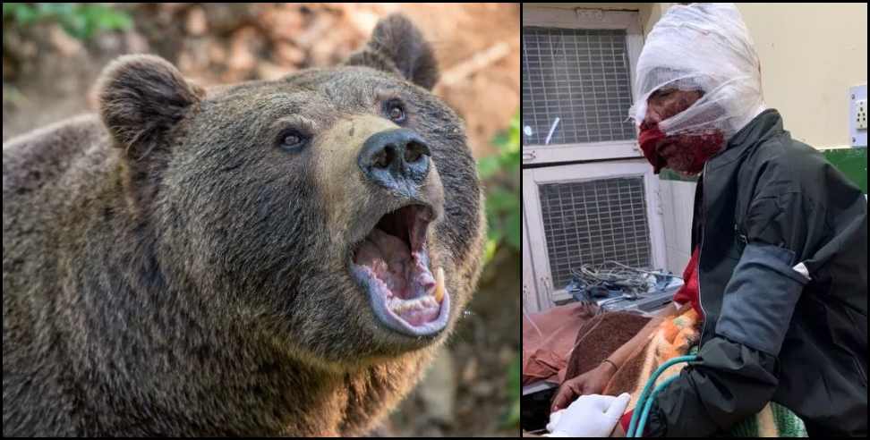 kapkot bear: Bear attacked youth in Bageshwar Kapkot