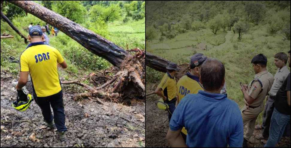 two students died: Pine tree getting deadly in the rain in Uttarakhand