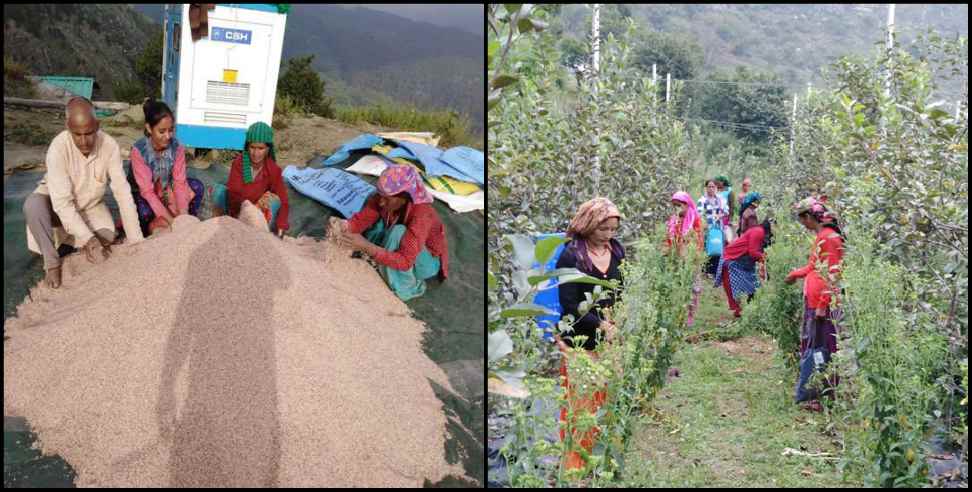 Uttarkashi News: Uttarkashi farmer Bharat Singh Rana