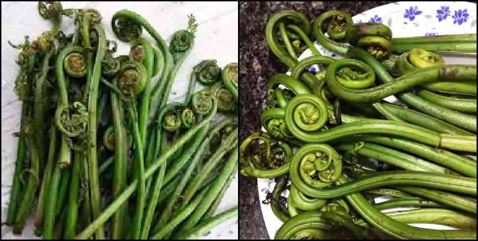 Uttarakhand Ayurvedic Vegetable: Benefits of lingura vegetable for immunity