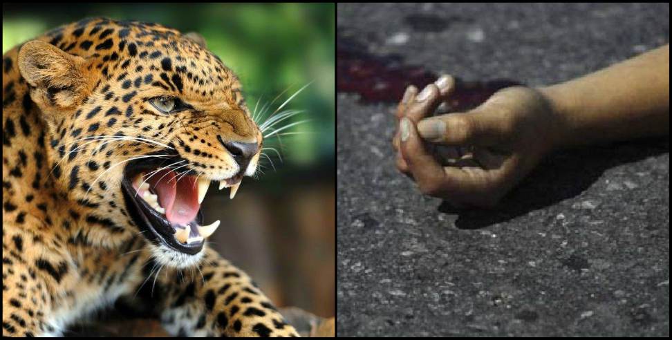 Pithoragarh News: leopard fear in Jhulaghat