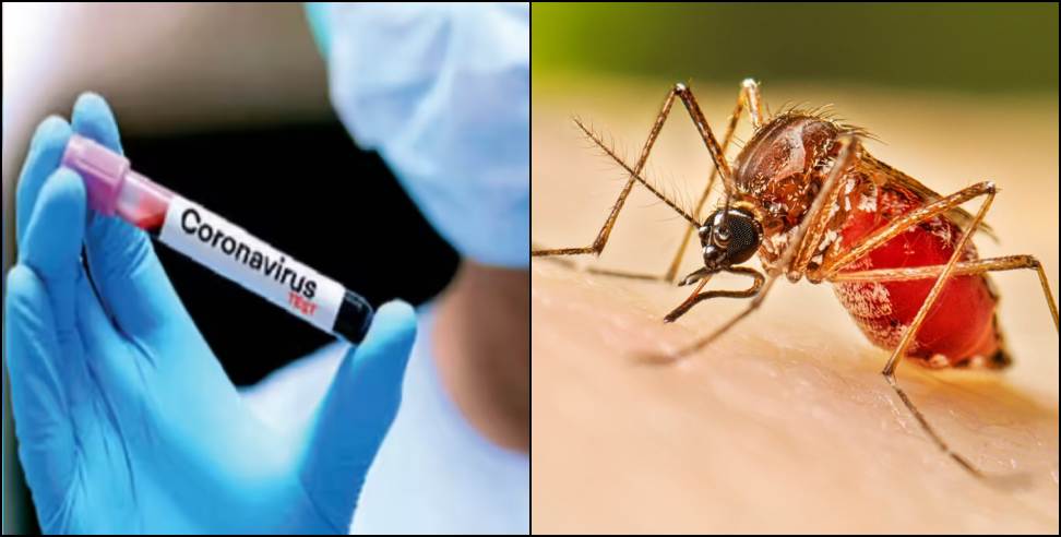 41 corona and 90 dengue cases in Dehradun