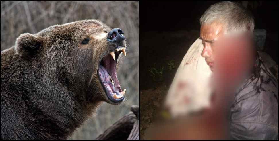 Pauri Garhwal Chakisain Bear: Bear attack in Chakisain of Pauri Garhwal