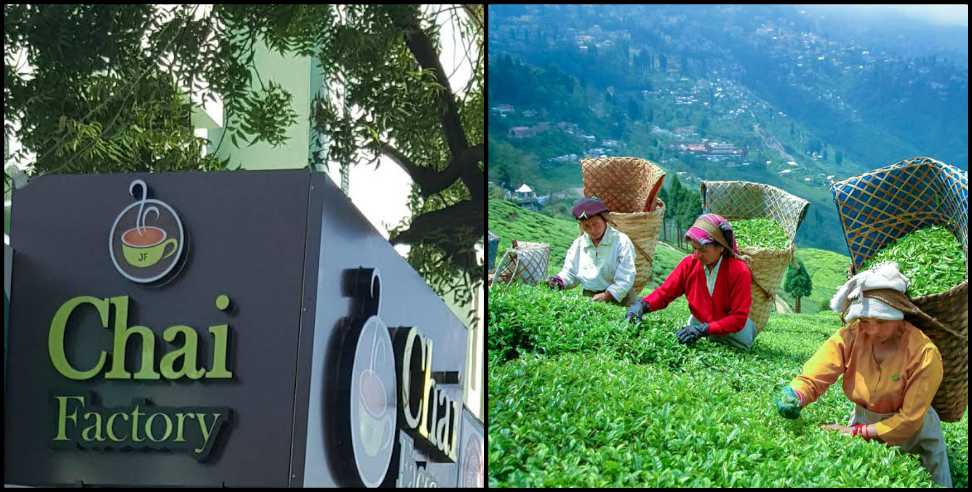 Uttarakhand Tea: Tea factories will be set up in Uttarakhand