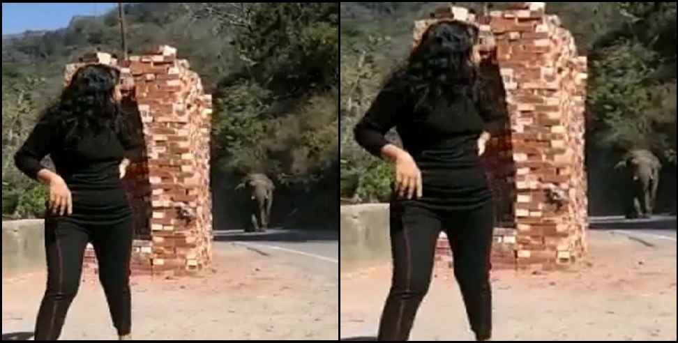 People forcefully taking selfie with elephant in Rishikesh