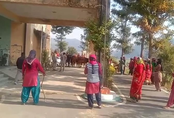 Women abandoned animals sdm office almora: Women Reached SDM office With Abandoned Animals