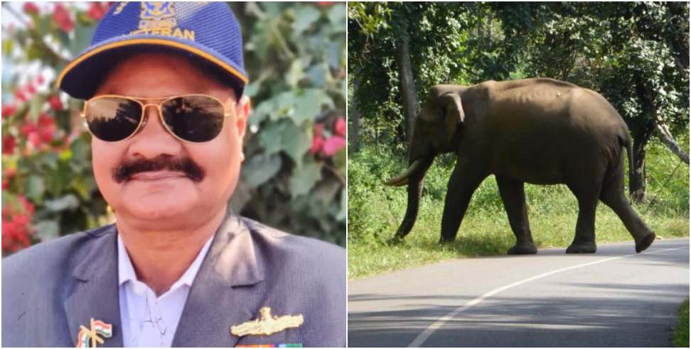 Elephant Attacked Former Soldier: Elephant Attacked Former Soldier While Taking Morning Walk in Doiwala