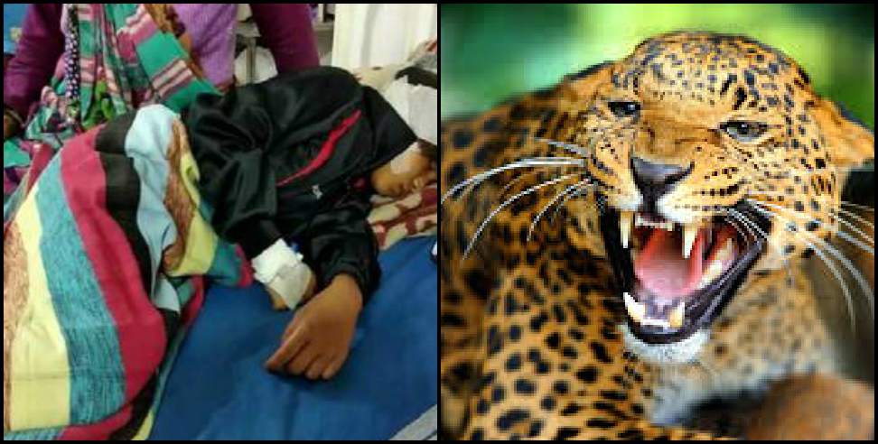 Haldwani News: Mother rescues daughter from Leopard in Haldwani