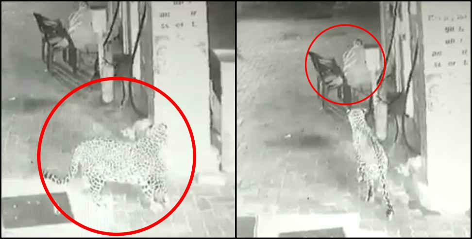 Dugadda Guldar Video: Leopard entered in petrol pump dugadda