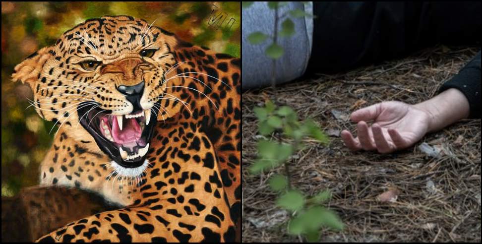 Leopard Pauri Garhwal: Leopard attacked the youth in Pauri Garhwal