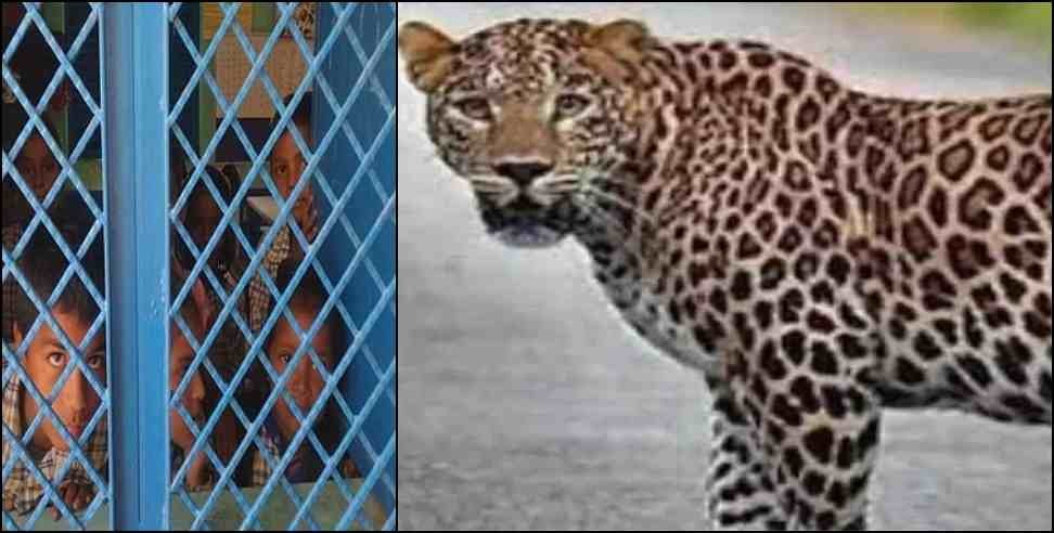 Haridwar School Leopard: Leopard in school campus in Haridwar