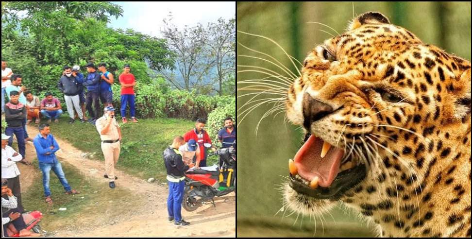 Uttarakhand Leopard: Leopard took a two and a half year old girl to Gangolihat