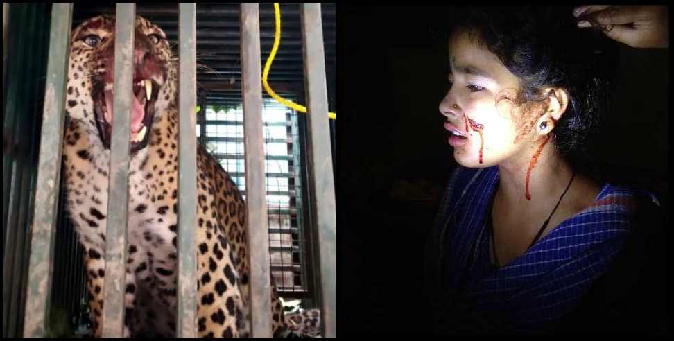 Pauri Garhwal Guldar: Female leopard caught in cage in Pauri Garhwal