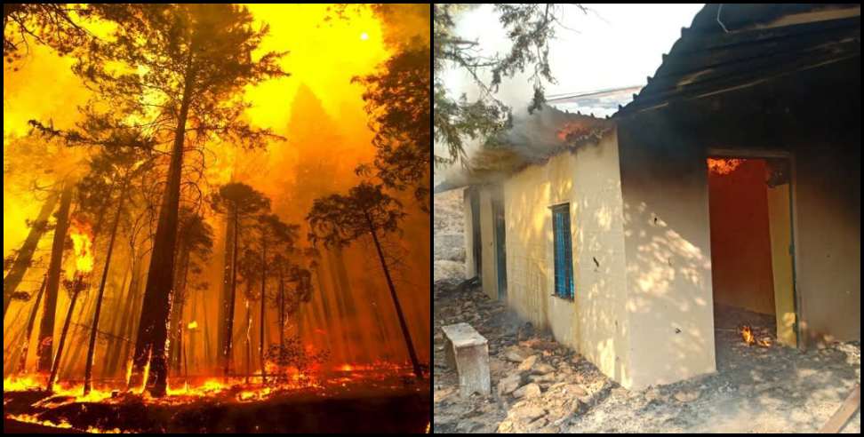 Pithoragarh News: Fierce fire in the forests of Gangolihat development block