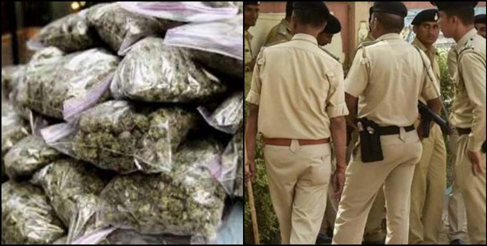 Pauri Garhwal News: 84 kg cannabis recovered in Pauri Garhwal
