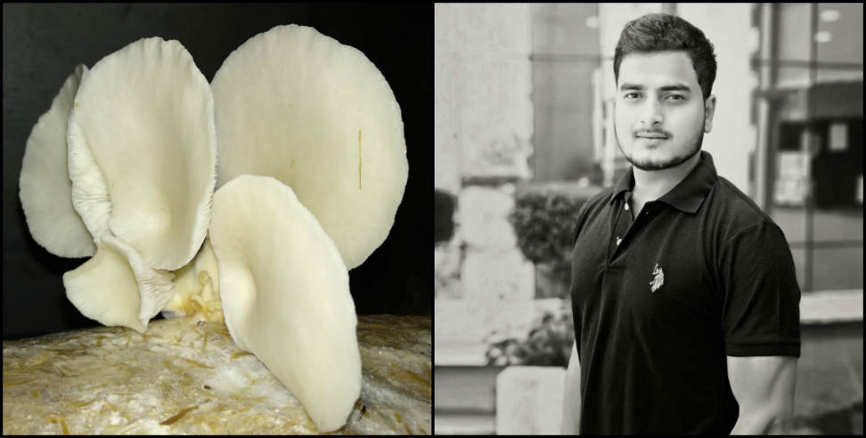 uttarakhand mushroom: success story of vikas chauhan pauri garhwal