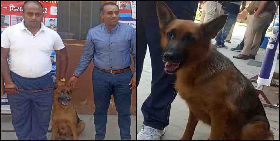 uttarakhand police sniffer dog solve case: uttarakhand police sniffer dog katy solved case in 30 seconds