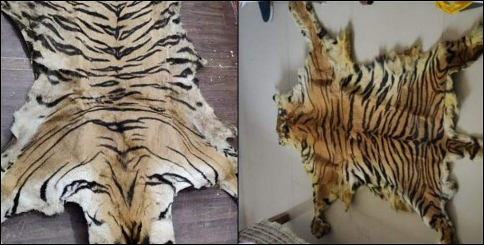 Khatima Smuggler arrested: Smuggler arrested with tiger skin in Khatima
