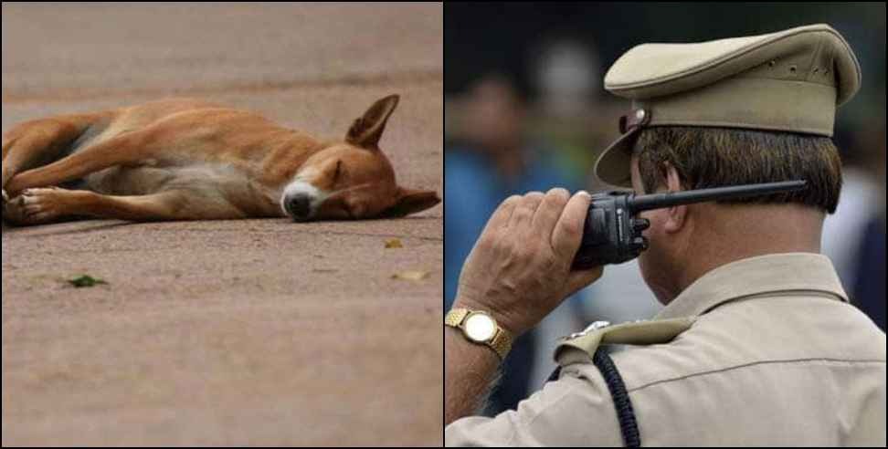 Dehradun Councilor Sukhbir Butola: Councilor Sukhbir Butola accused of killing a dog in Dehradun