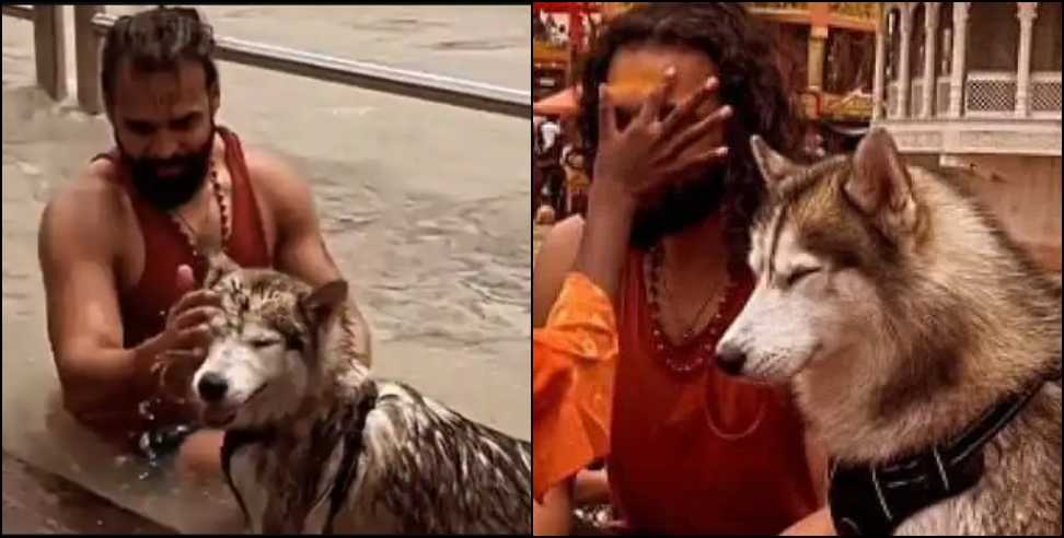 haridwar dog ganga snan and pooja: Ganga bath and worship photo with dog in Haridwar goes viral