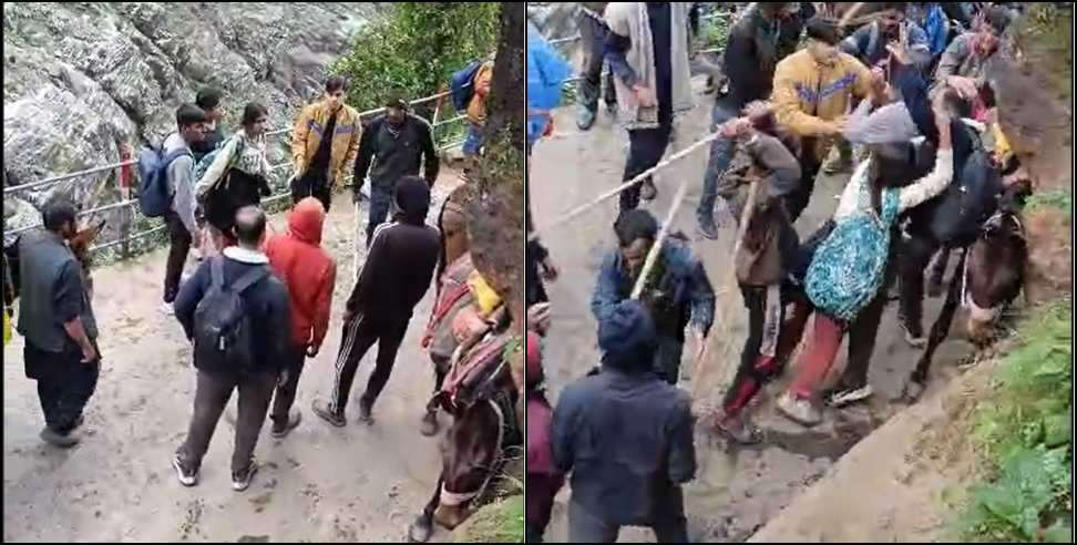 Kedarnath Mule Operator Video: Mule handlers beat up pilgrims in Kedarnath