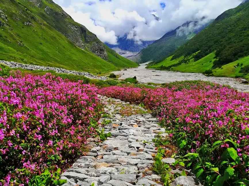 Valley of Flowers tourist missing