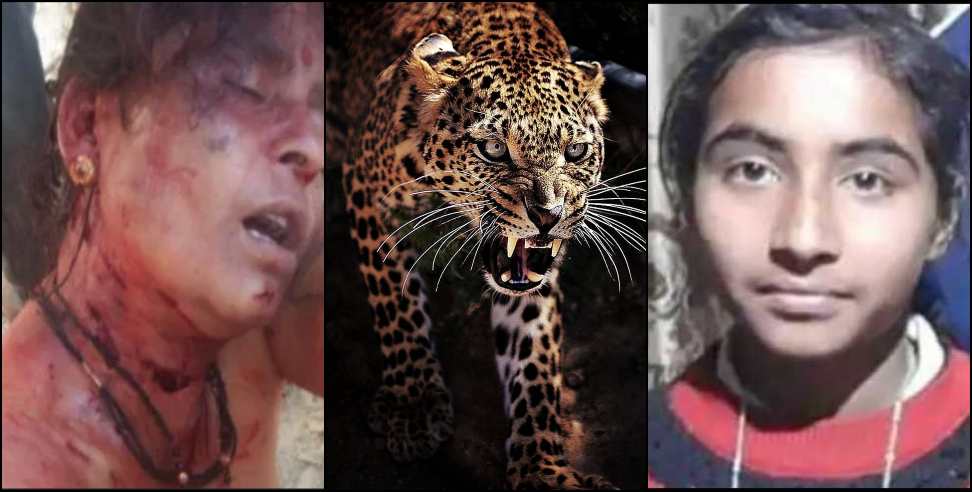 Nainital okhalkanda news: Nainital okhalkanda leopard news