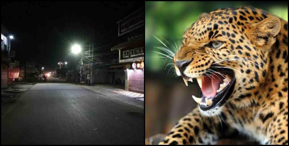 Pithoragarh Leopard : Night curfew in pithoragarh due to leopard
