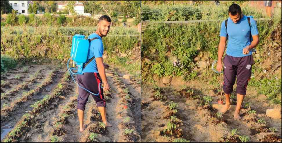 Uttarakhand Saurabh Rawat: cricketer saurabh rawat doing farming in lockdown